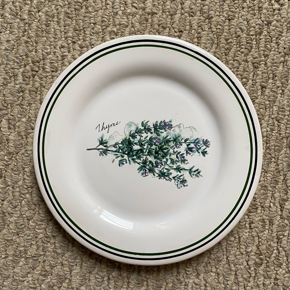 WILLIAMS- SONOMA VINTAGE SALAD PLATE HERBS MADE IN PORTUGAL THYME
